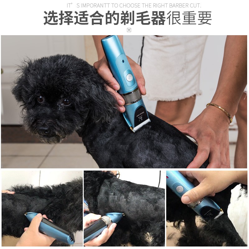 pet king clippers