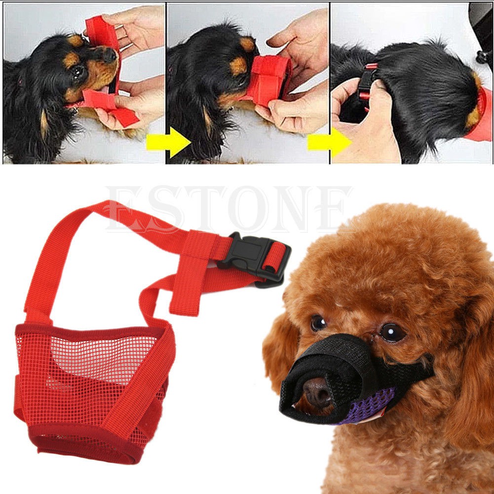 muzzle puppy to stop biting