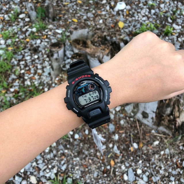 dw6900 1vdr