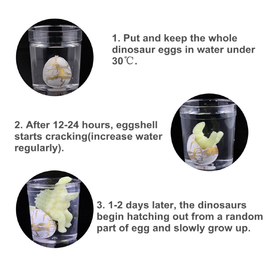 dino egg water