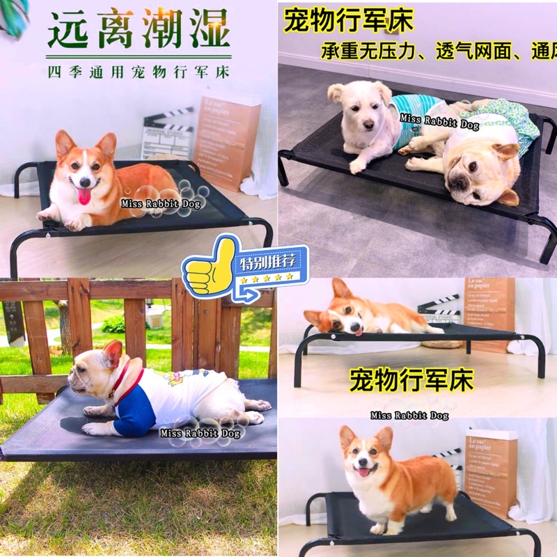 DOG Bed BIGGER Size breathable mesh elevated Dog pet bed steel frame house anti skin disease大尺码尺寸透气网布高架狗宠物床钢架屋防皮肤病