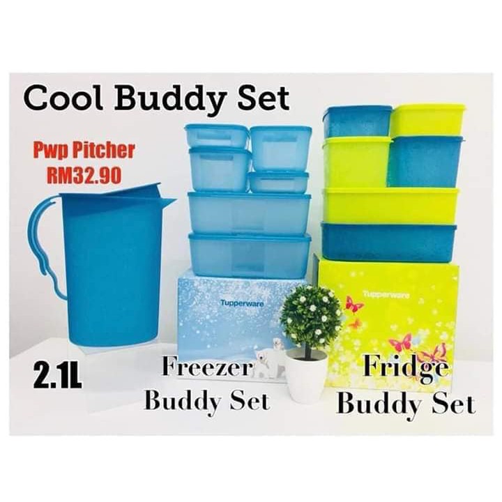 Tupperware Cool Buddy Set