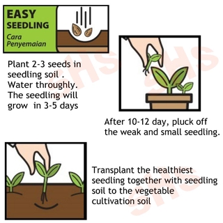 Seedling Soil 3L Tanah Semaian Benih Baba Seedling Mix 育苗土 Tanah ...