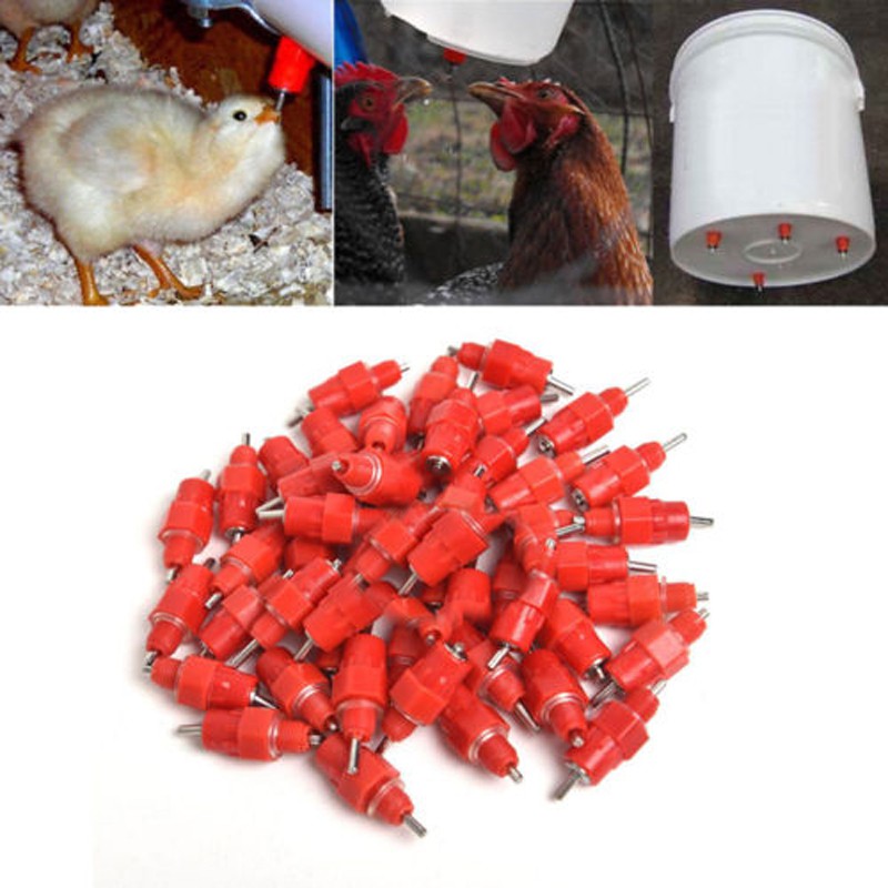 20Pcs Poultry Water Nipples Chicken Automatic Drinker Poultry Waterer Drinking Nipple Farm Accessories for Chicken Use 