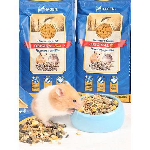 In Stock HAGEN Original Plus Hamster & Gerbil Food 1KG Shopee
