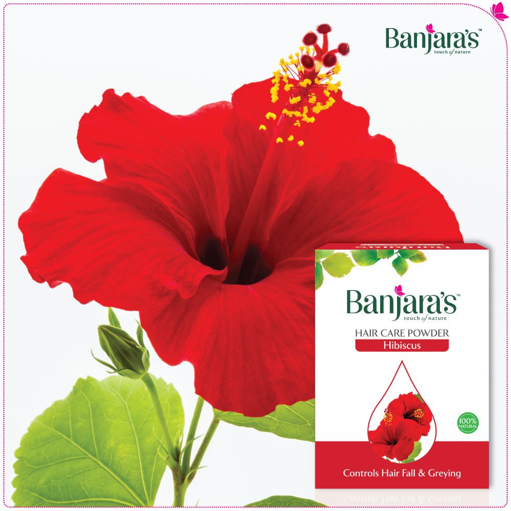 Original Price Banjaras Hair Care Powder Hibiscus 5x20g 100g