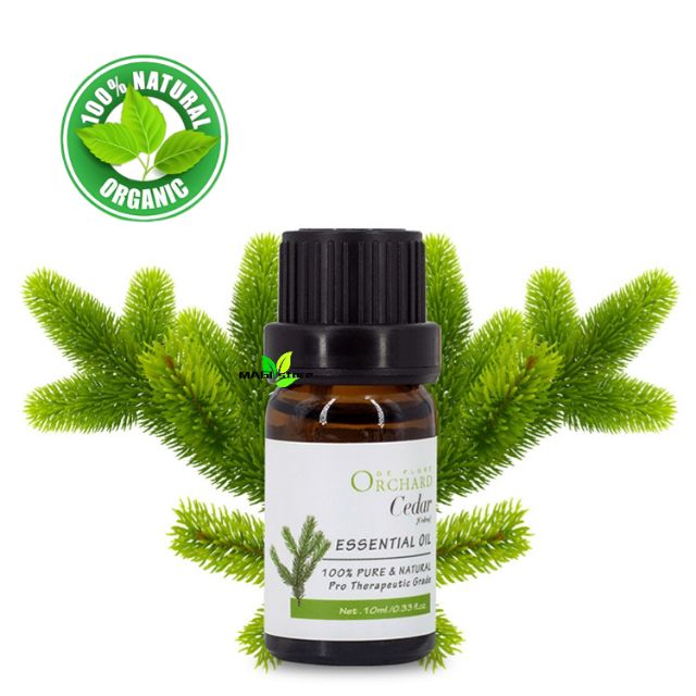 Cedar Essential Oil 10ML ORCHARD 100 Natural Plant Therapy