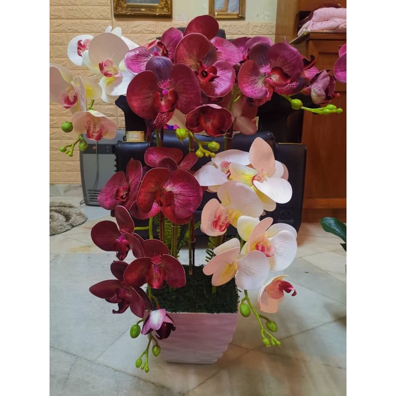 Gubahan orkid 5 tangkai Shopee Malaysia Gubahan orkid 5 tangkai Shopee Malaysia