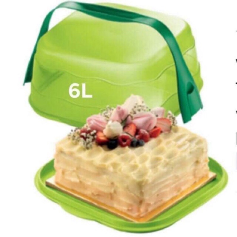 fresh and fancy cake carrier available warna hijau dan pink kek