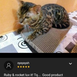 Tempat Cakar Kucing Pengasah Kuku Kucing Cat scratches Tempat Cakar Kucing Pengasah Kuku Kucing Cat scratches