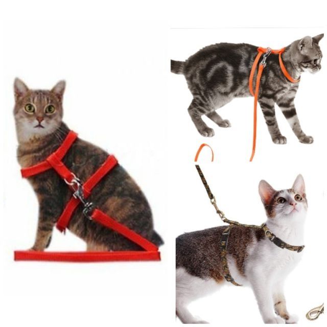 Cat Strap Harness / Tali Kucing Shopee Malaysia