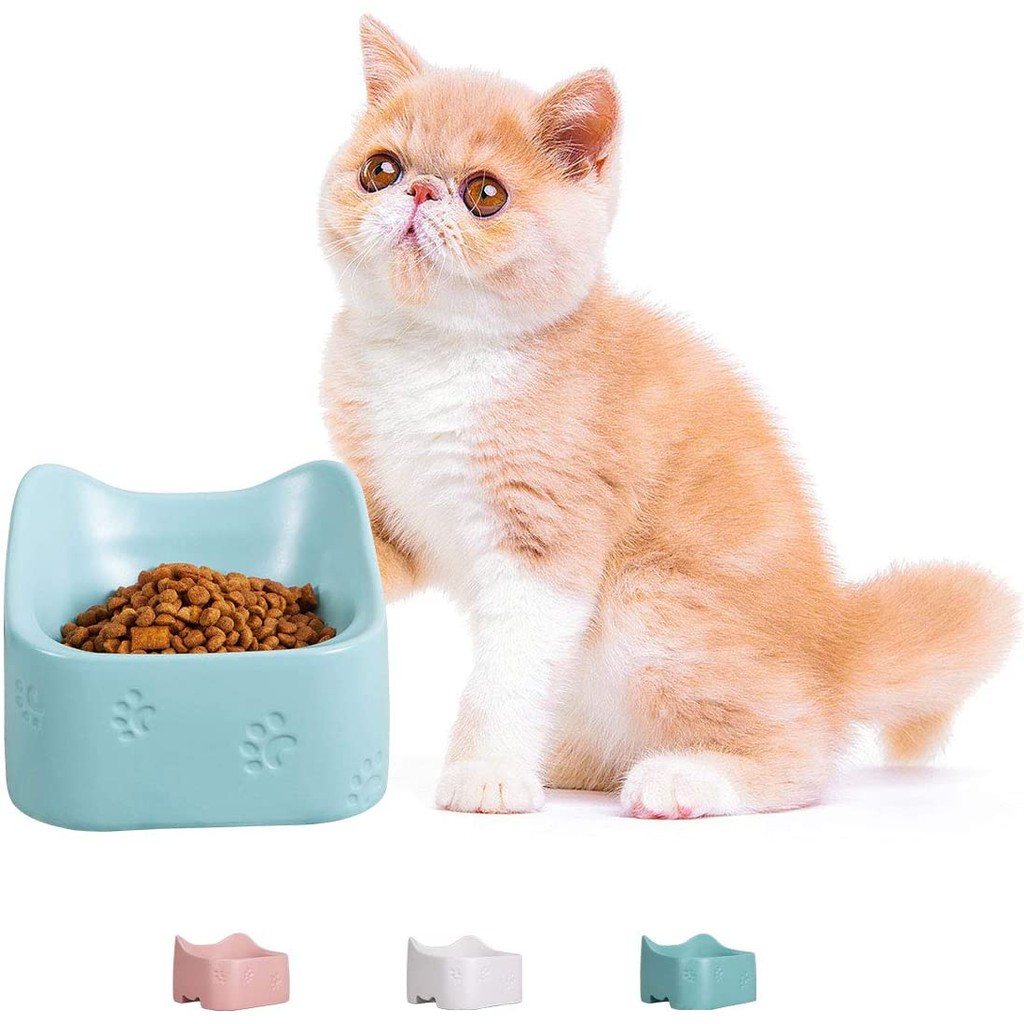 cute cat food bowls