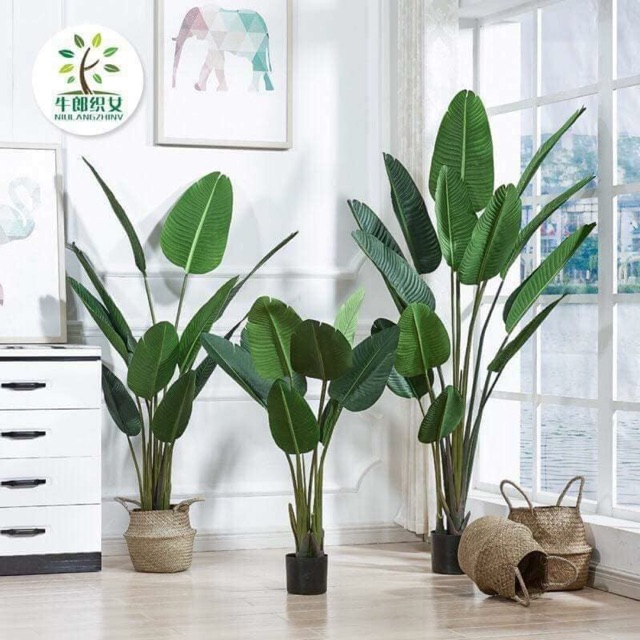 [PREMIUM QUALITY] pokok pisang viral / pokok plastik / artificial plant