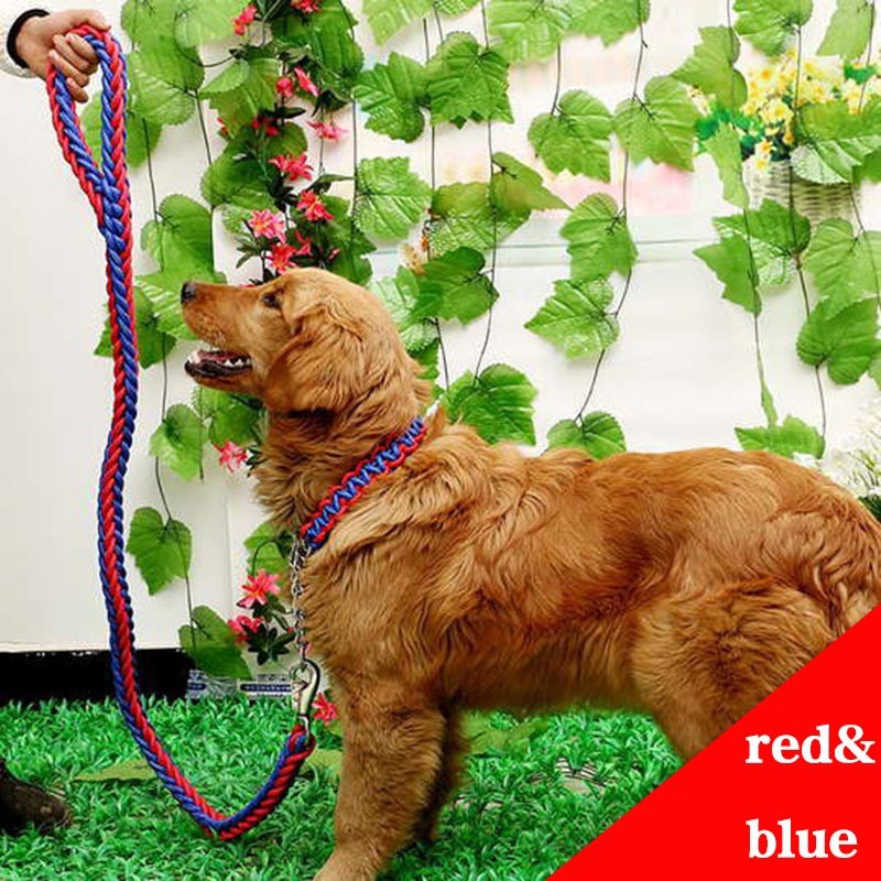 chain leash for large dogs