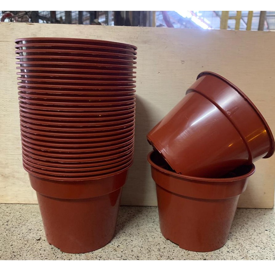 15CM Diameter Flower Pot Pasu Bunga Gardening Tools 15CM Diameter Flower Pot Pasu Bunga Gardening Tools