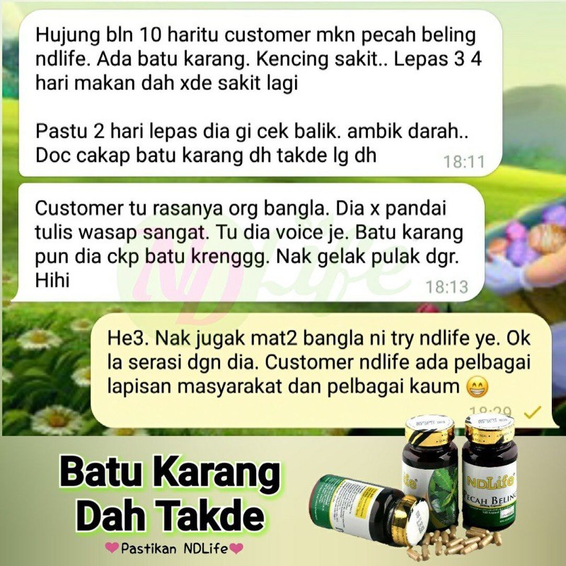 Ready Stock Original Pecah Beling Ndlife Batu Karang Batu Hempedu Kolestrol Kencing Tak Lawas Shopee Malaysia