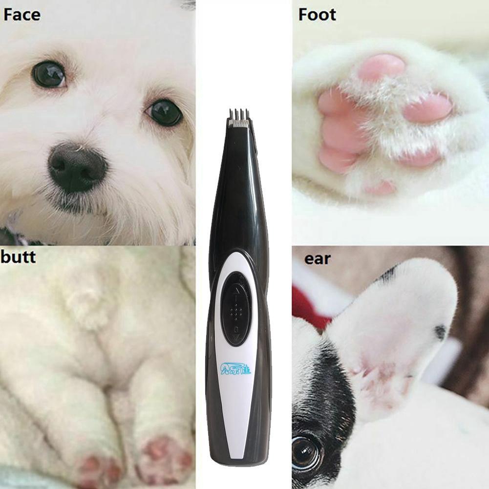 best trimmer for dog paws