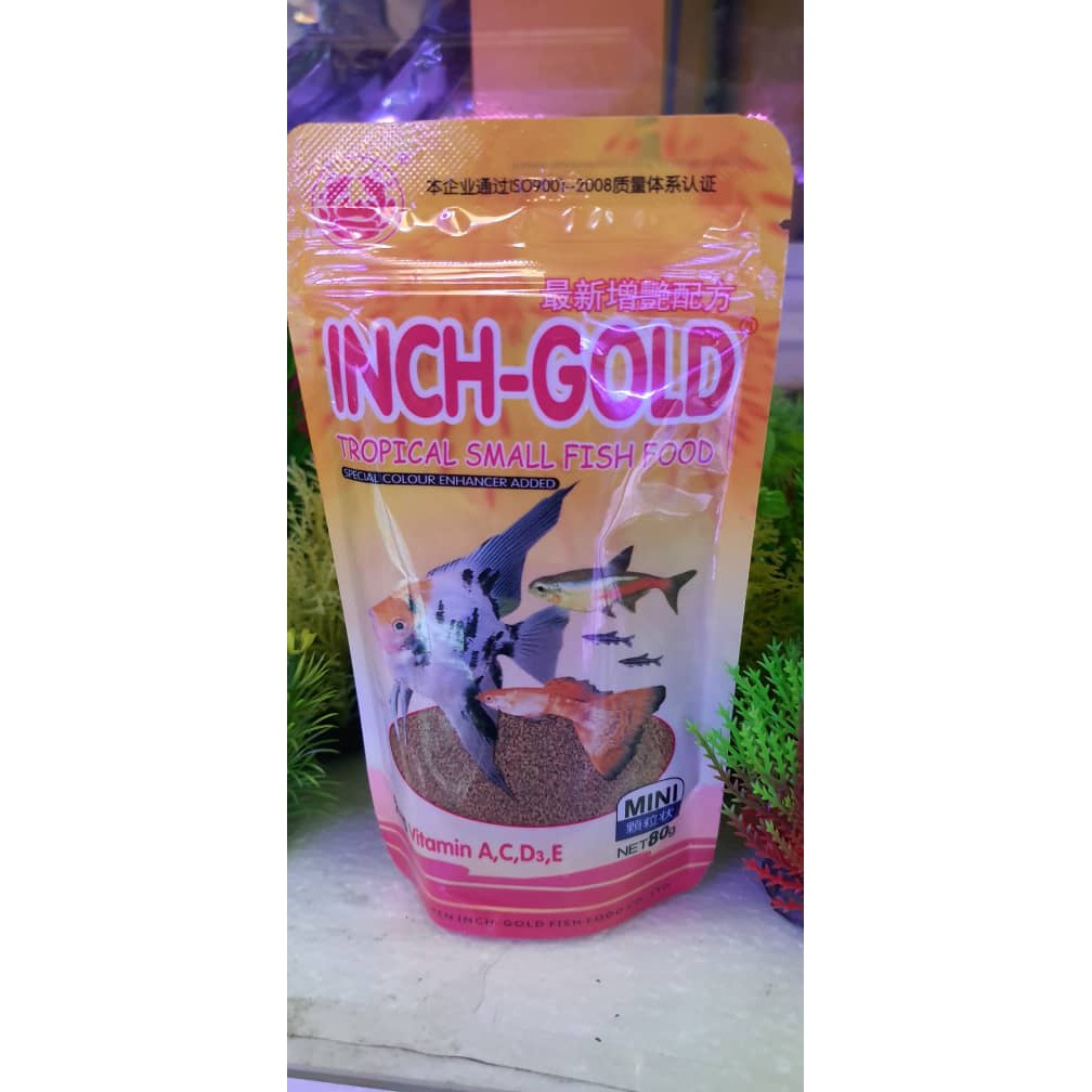 inch gold tropical small fish food