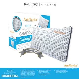 Ann taylor store bamboo charcoal pillow