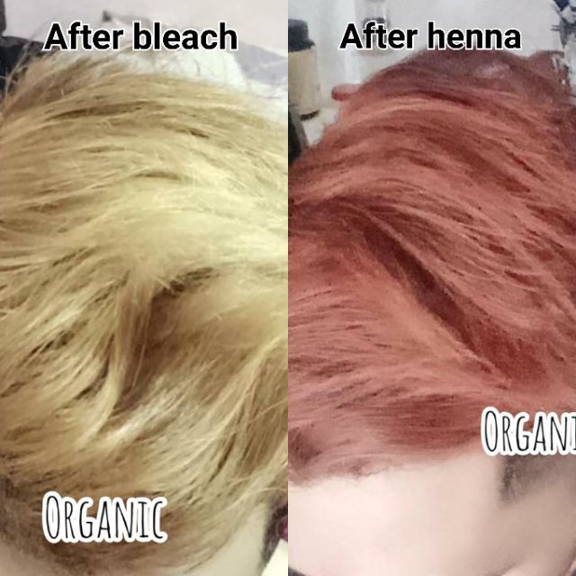 Combo A Organic Hair Henna Bleach Shopee Malaysia