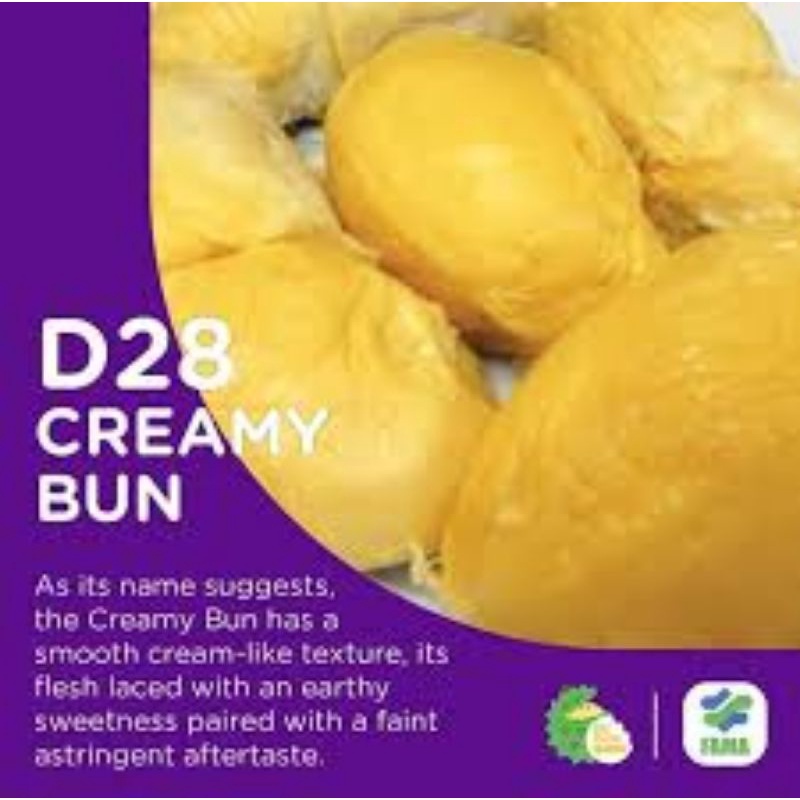 d28 durian
