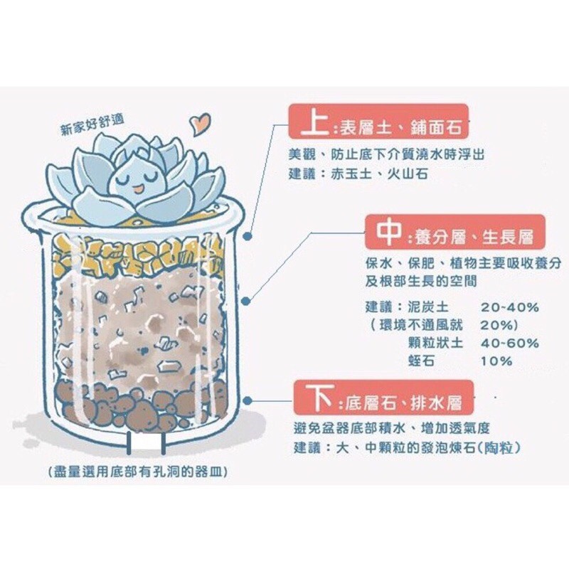 Akadama 赤玉土 400g Pack Succulent Cactus Shopee Malaysia