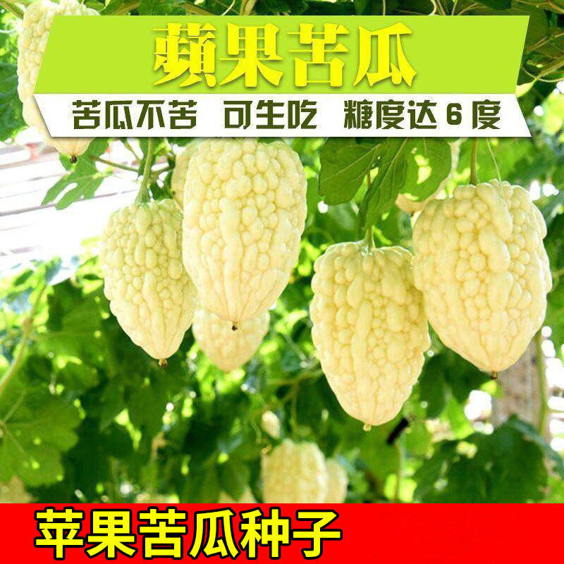Buy Diimport Epal Jarang Peria Biji Buah Manis Peria Biji Taiwan Epal Peria Biji Benih Sayur Sayuran Seetracker Malaysia