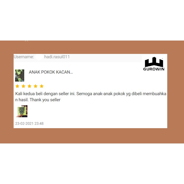 Anak Pokok Kacang Botol Shopee Malaysia