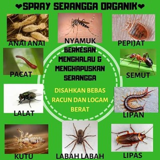 Organic Magic Insect Repellent Penghalau Serangga Spray 