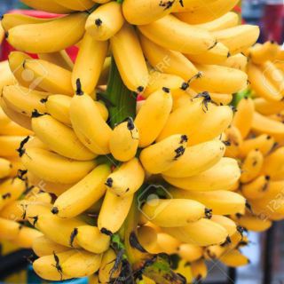  Anak pokok pisang emas Shopee Malaysia