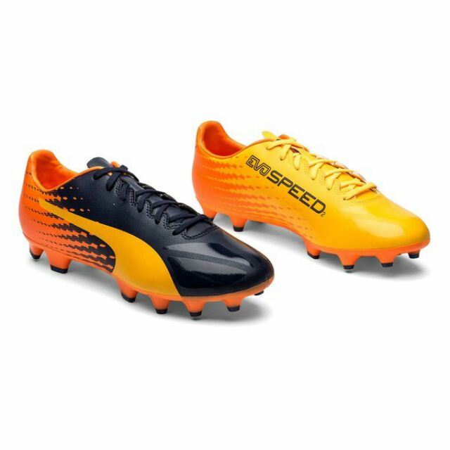 puma evospeed 17.2 fg
