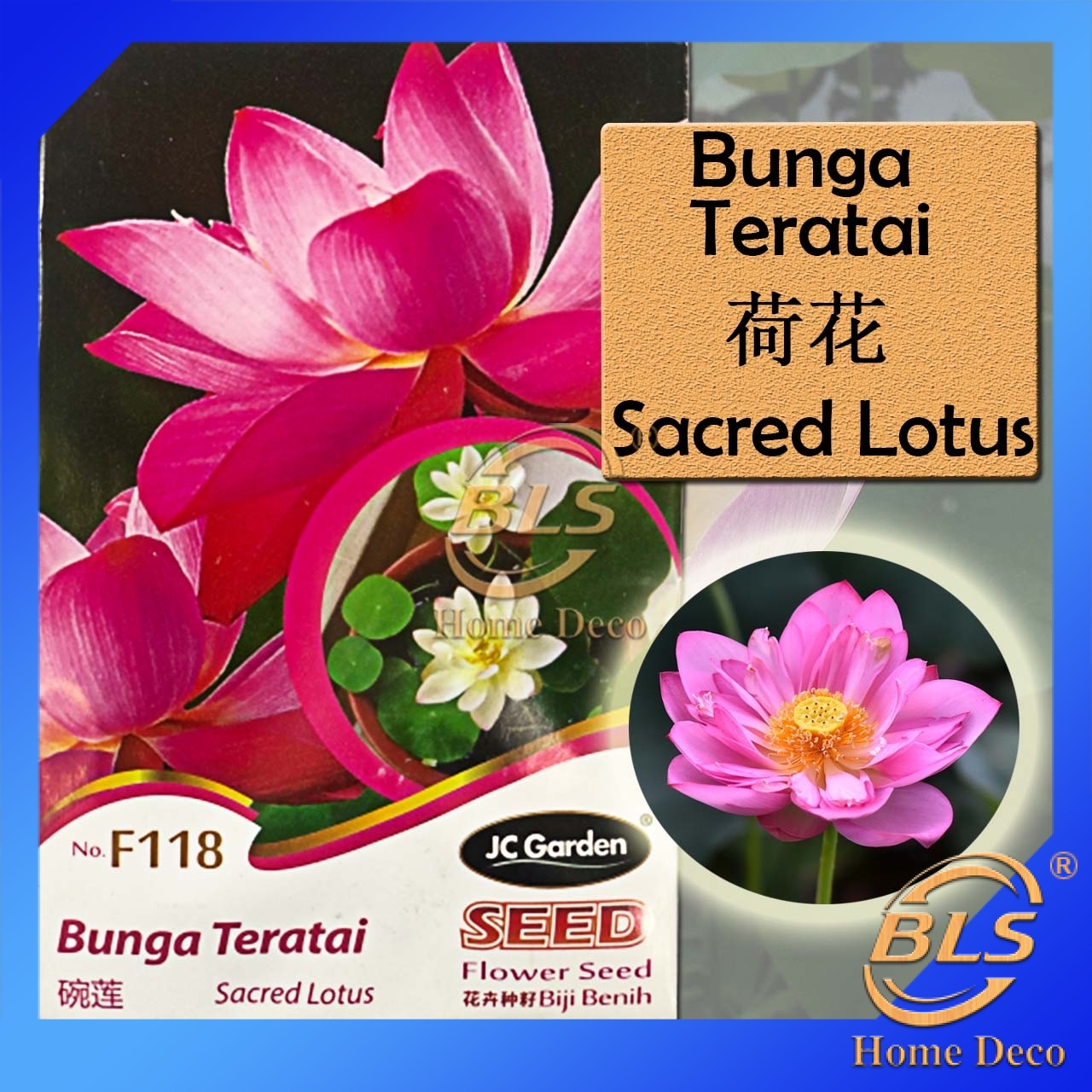 F118 SACRED LOTUS JC GARDEN FLOWER SEED BIJI BUNGA TERATAI ...