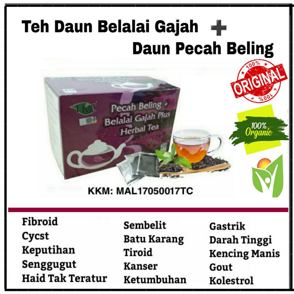 Teh Daun Belalai Gajah Daun Pecah Beling Penawar Kanser Fibroid Cysts Ketumbuhan Diabetis Tekanan Darah Tingg Shopee Malaysia