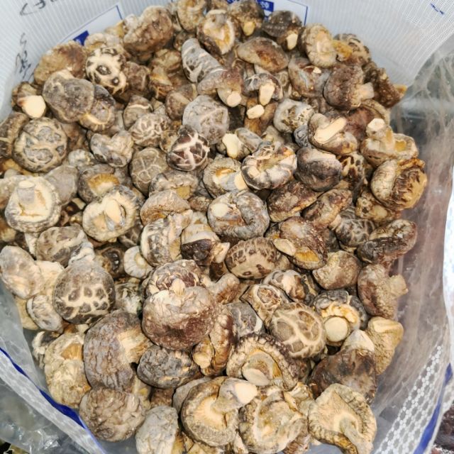 小茶花菇small Dried Mushroom 100g Rm8 Shopee Malaysia