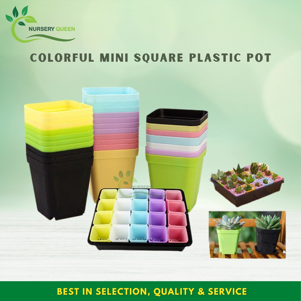 COLORFUL SUCCULENT CACTUS MINI SQUARE PLASTIC POT COLOR NO PIRING
