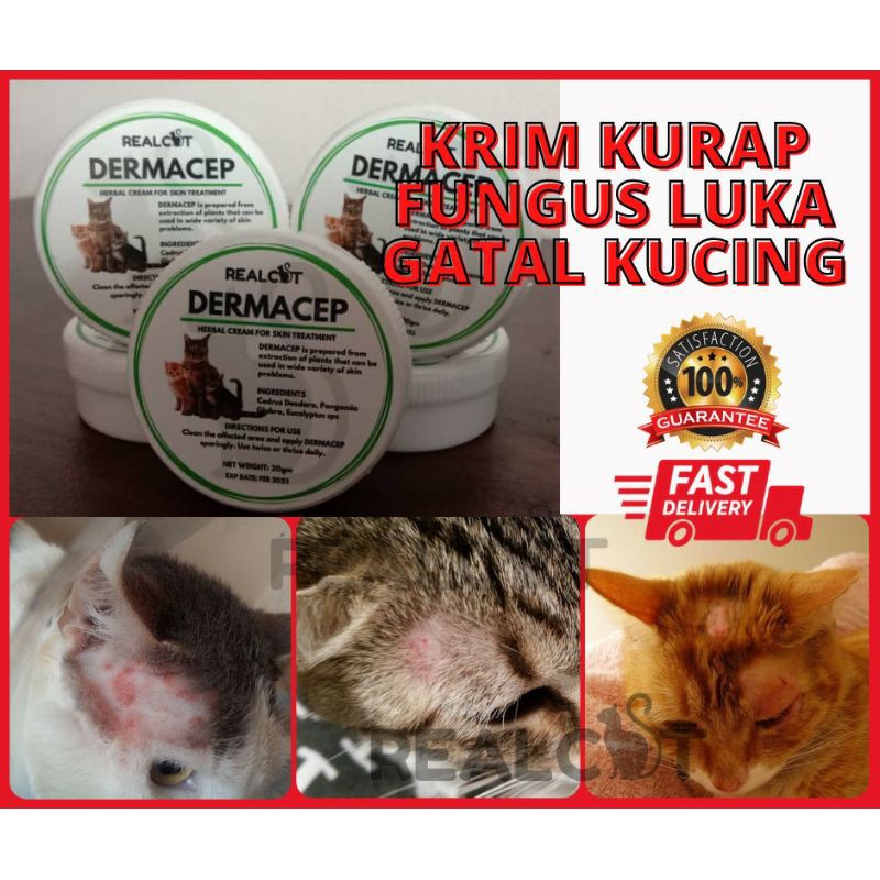 🧕🏻UBAT KURAP KRIM SAPU ANTI-BAKTERIA FUNGUS LUKA KUDIS GATAL 