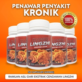 KAPSUL LINGZHI  JOINT CARE, Ubat Penawar kencing Manis diabetis