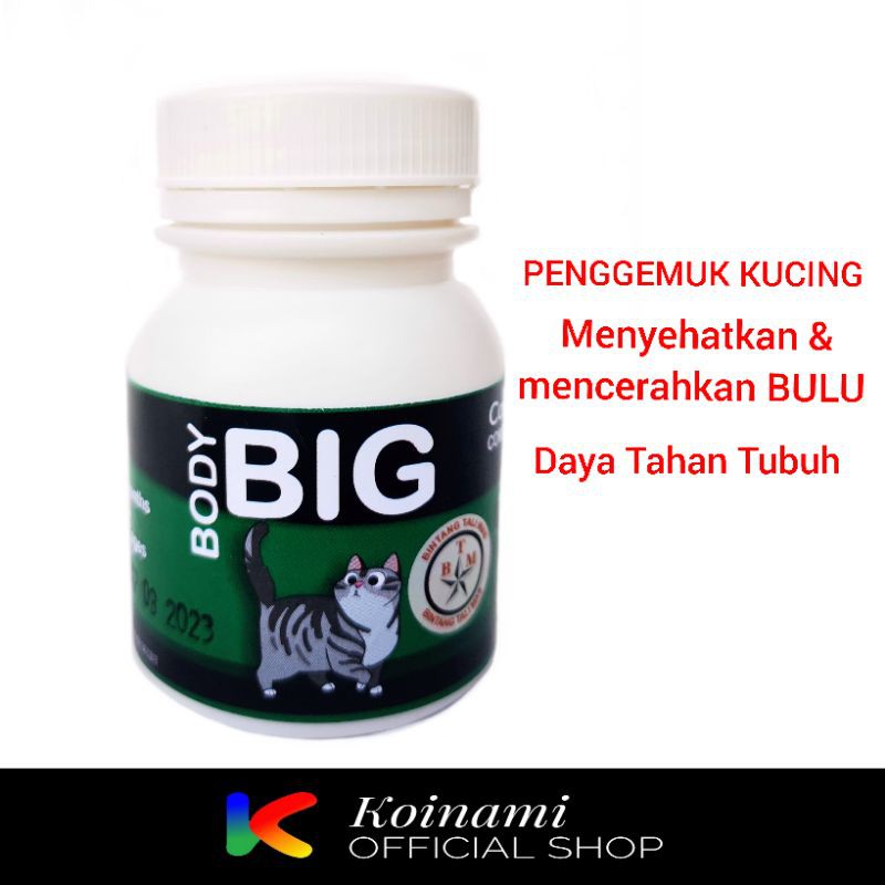 Buy Big CAT BODY / CAT Fatter / VITAMIN CAT / CAT FATER POWDER 