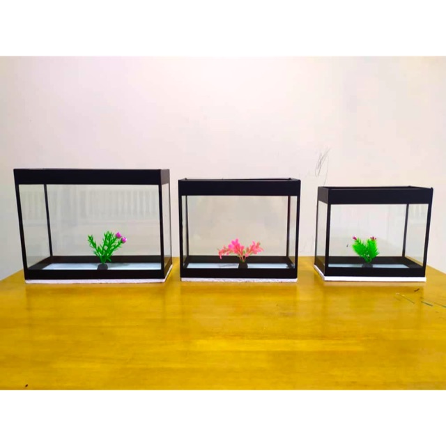 Aquarium Fish Tank 12inch Shopee Malaysia