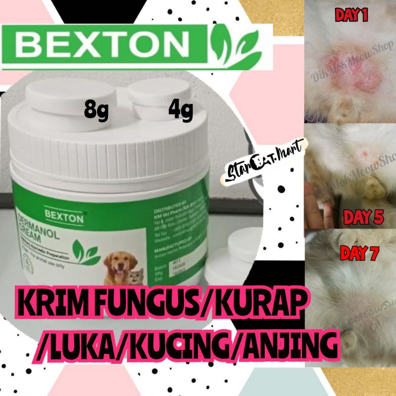 Krim Fungus Kucing Anjing Krim Luka Kurap Kucing Anjing Dermanol Cream For Cat Dog Anti Fungal Cream For Cat Dog Shopee Malaysia