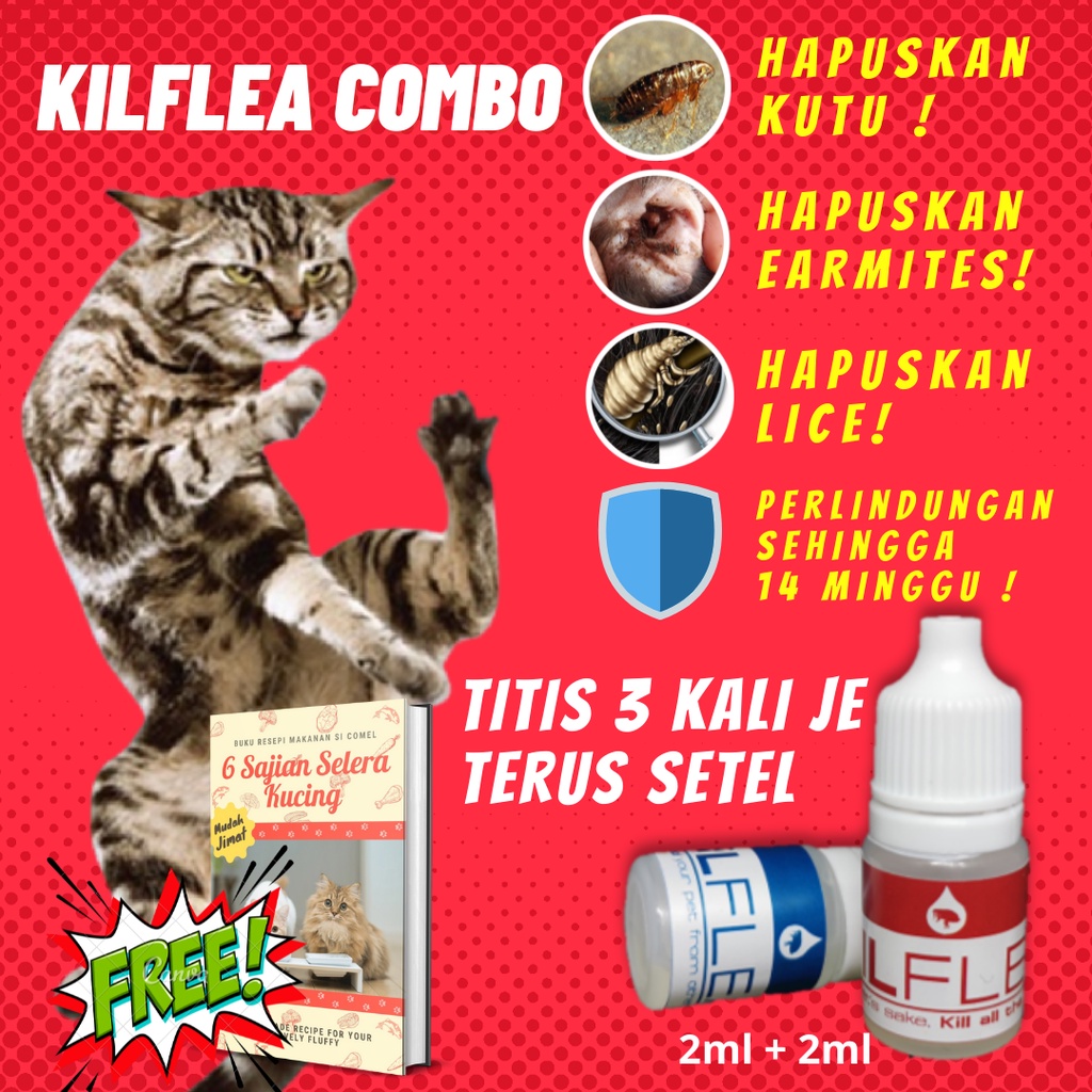 ubat kutu anak kucing - Prices and Promotions - Nov 2021  Shopee 