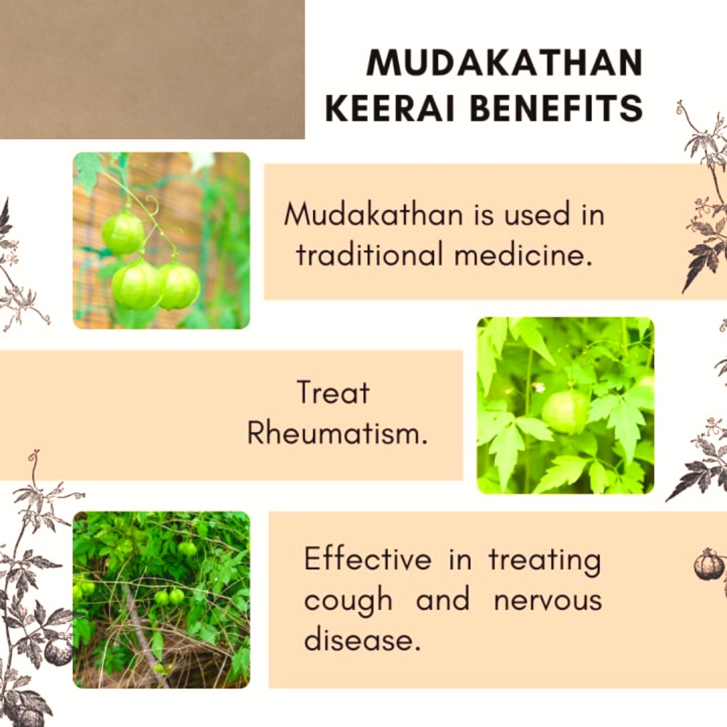 100% PURE | ORGANIC | MUDAKATHAN | KEERAI | POWDER | Balloon Vine | 200 GMS  | Joint pain | Scalp Care | Cough | Sendi | Shopee Malaysia