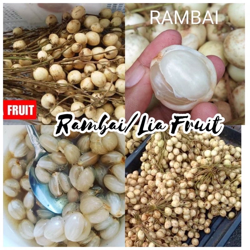 BUAH RAMBAI/LIA FRUIT 1 kilo DARI HUTAN | Shopee Malaysia