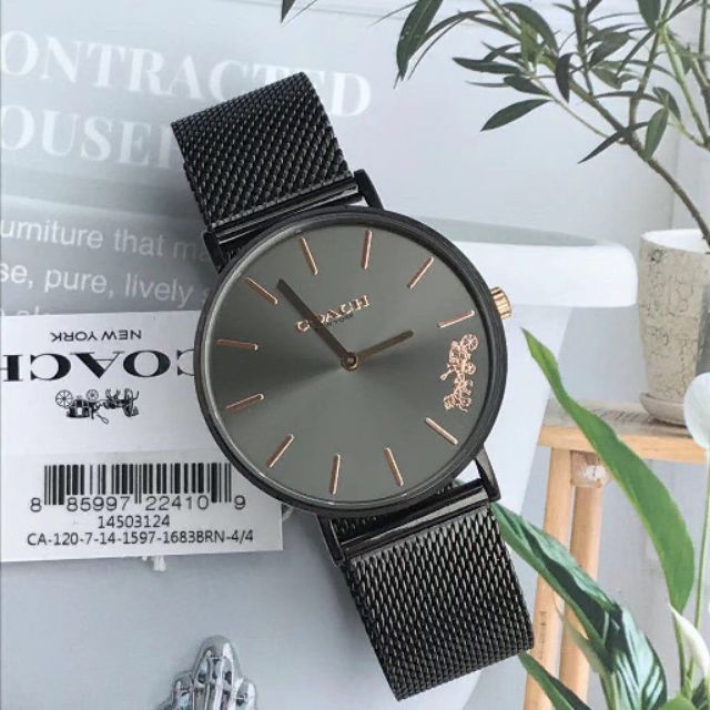 coach mesh watch