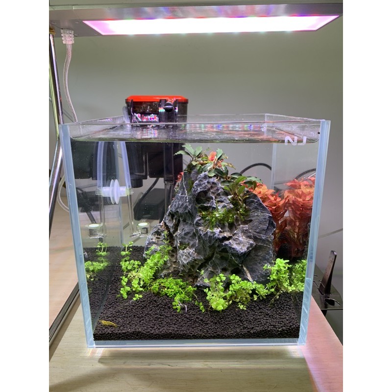 Low Iron Glass Aquarium Malaysia Glass Designs