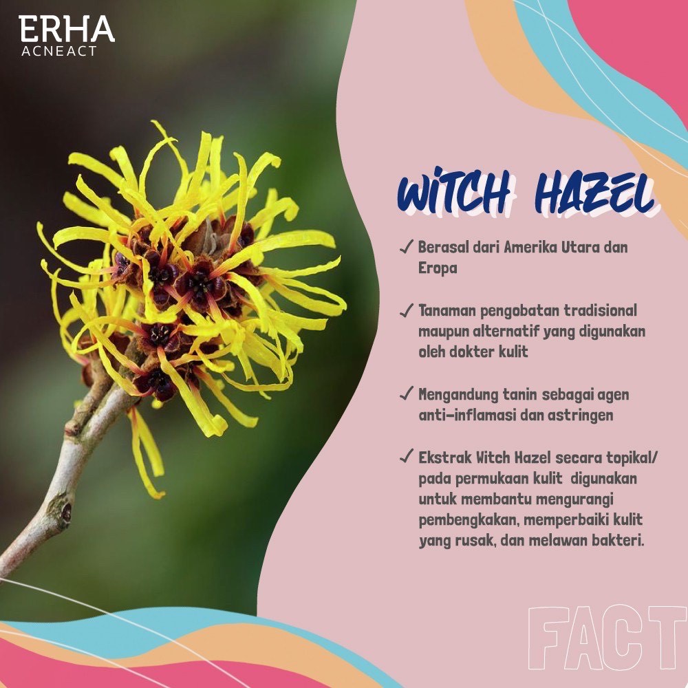 erha acneact witch hazel
