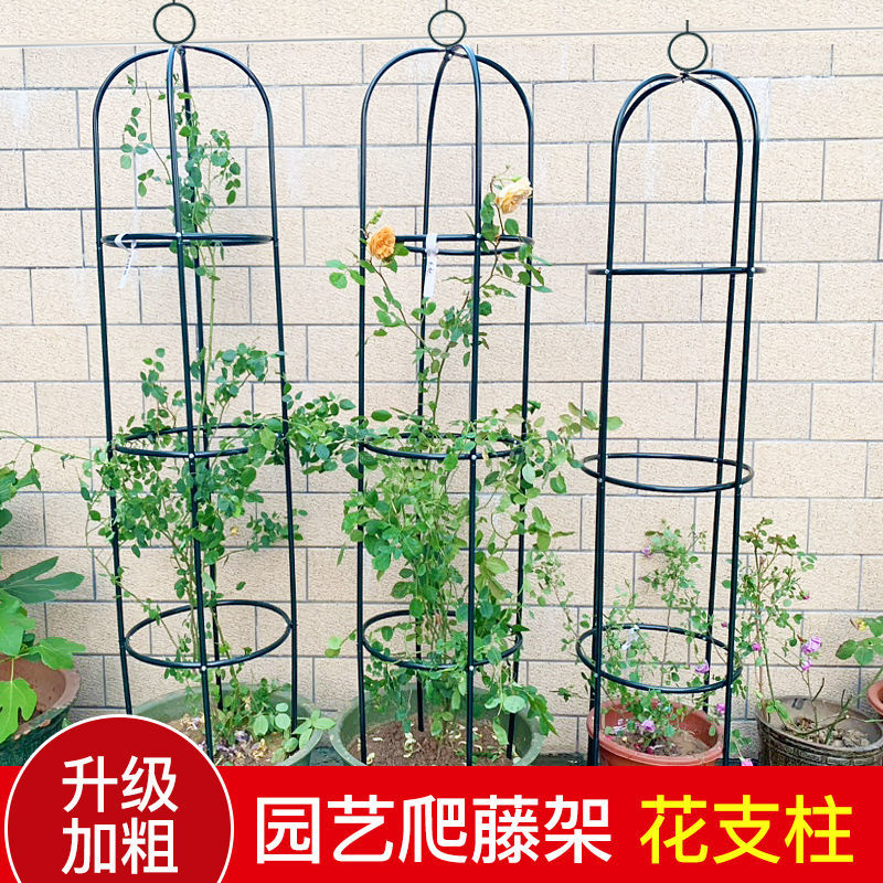 铁艺阳台固定支架爬架花架月季绿萝花盆支架室内绿植爬藤架花支柱
