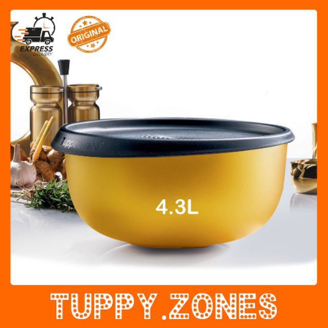 {LIMITED EDITION} Tupperware 55th Anniversary Bowl Set