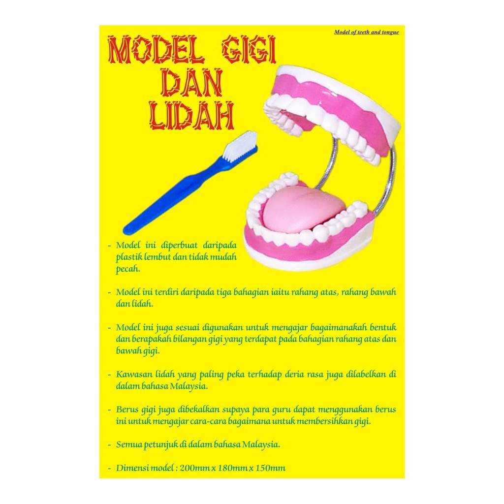 Model Gigi Dan Lidah Shopee Malaysia