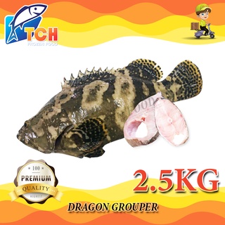 Ikan Kerapu Singa Mati Shopee Malaysia